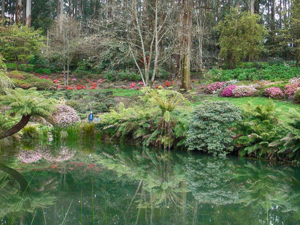 Rhododendron Gardens