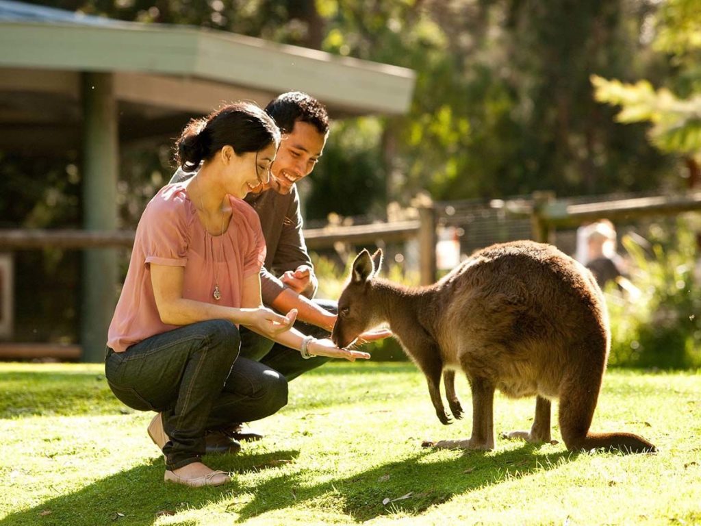 Healesville Sanctuary